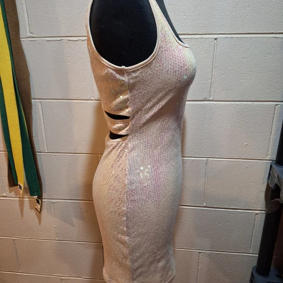 Iridescent Pink Sequin Bodycon Mini Dress-Cute Back - Picture 2 of 14